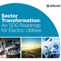 Sector Transformation: An SDG Roadmap for Electric Utilities developed by WBCSD together with 11 organisations, including Tata Power