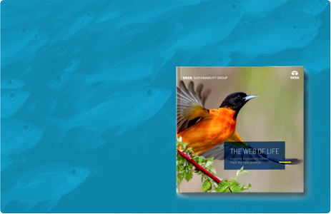 TATA GROUP
Publication
The Web of Life

Inspiring biodiversity
stories from the
Tata Universe