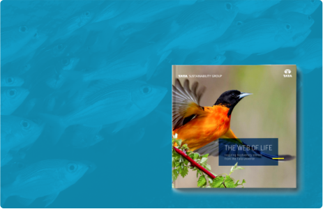 TATA GROUP
Publication
The Web of Life

Inspiring biodiversity
stories from the
Tata Universe