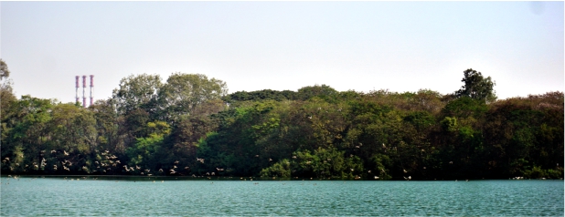 Tata Motors Pune plant was awarded the 'Bombay Natural History Society (BNHS) – Green Governance Award – 2006' in the “Conservation and Restoration of Habitat” category