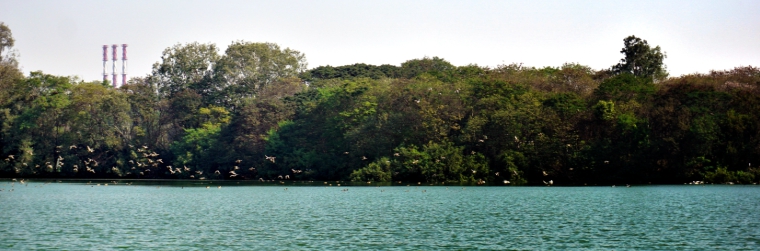 Tata Motors Pune plant was awarded the 'Bombay Natural History Society (BNHS) – Green Governance Award – 2006' in the “Conservation and Restoration of Habitat” category