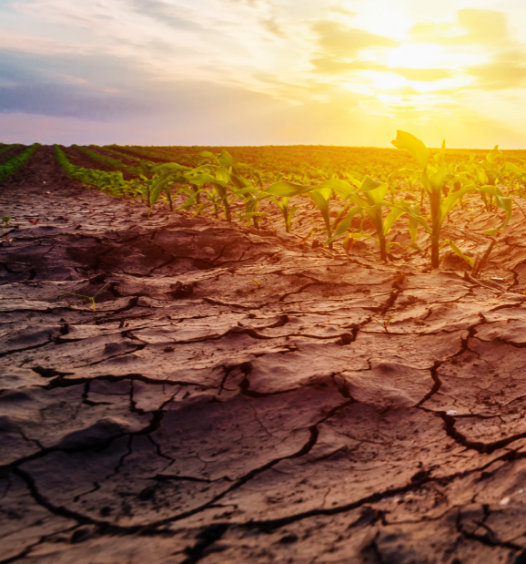 Climate Change Vulnerability Assessment for the State of Gujarat