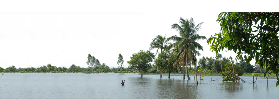 Disaster Response
158 Crore spent across 19 districts in eight states, for group level disaster response programmes
5.33 lakh+ people positively impacted through relief measures & extensive rehabilitation programmes